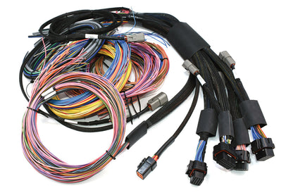 Haltech Nexus R5 VCU With Universal Wire-in Harness 5m